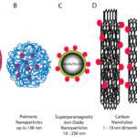 examples of nanoparticle drug delivery systems
