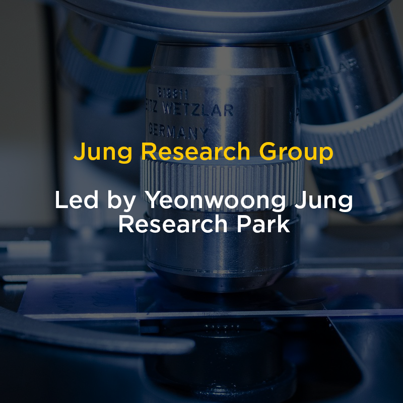Jung Research Group Flier