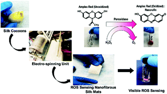 Researchers create highly elastic surgical sealant - BioTuesdays