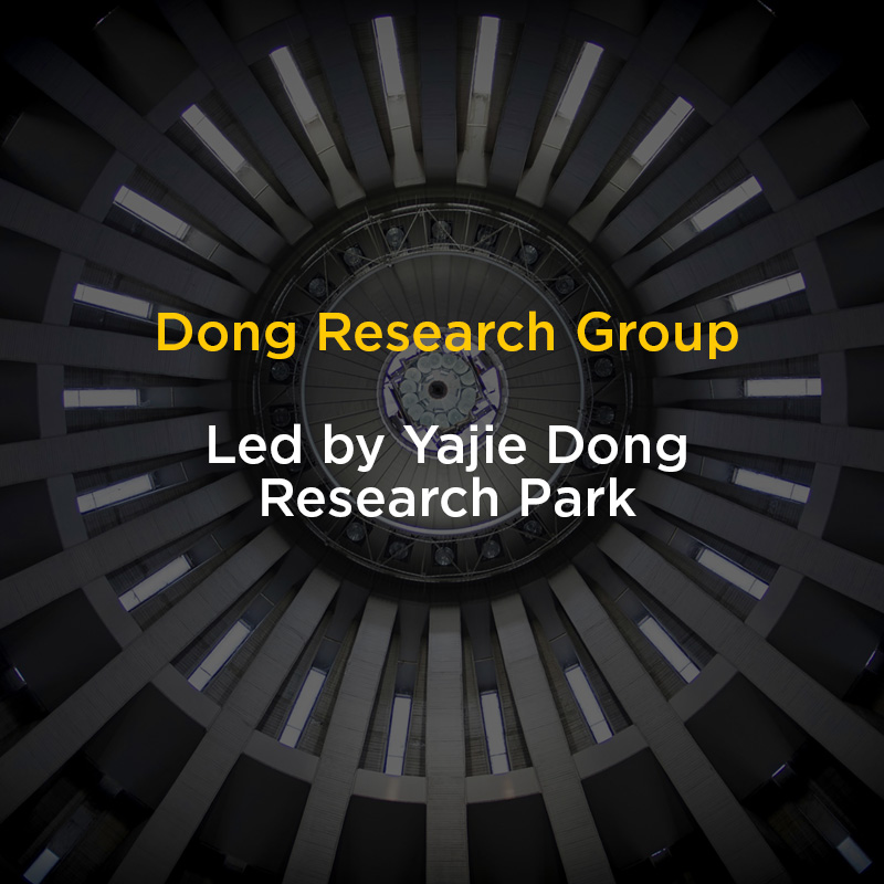 Graphic for Dong Research Group